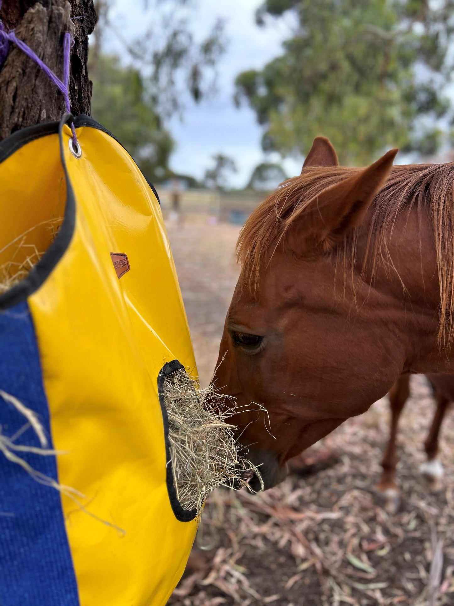 Horse Hay Bag Feeder (PVC)