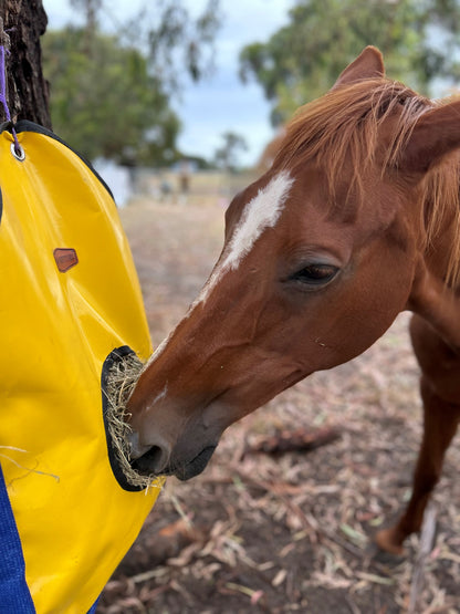 Horse Hay Bag Feeder (PVC)